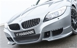 Hamann BMW Z4 E89 - 2010 寶馬 #17