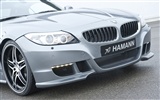 Hamann BMW Z4 E89 - 2010 宝马18