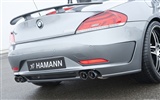 Hamann BMW Z4 E89 - 2010 寶馬 #19