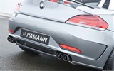 Hamann BMW Z4 E89 - 2010 HD Wallpaper #20