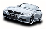 Hamann BMW Z4 E89 - 2010 宝马23