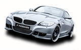 ハマンZ4モデルE89 - 2010のHDの壁紙 #23