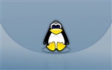 Linux tapety (3) #4