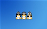 Fond d'écran Linux (3) #12