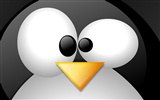 Fond d'écran Linux (3) #16