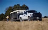 Ford F350 Super Duty - 2011 福特 #7