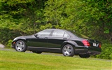 Mercedes-Benz S600 - 2010 HD tapetu #22