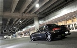 MWDesign BMW Z4 E89 Slingshot - 2010 寶馬 #6