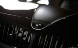 MWDesign BMW Z4 E89 Slingshot - 2010 宝马8