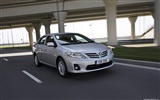 Toyota Corolla - 2010 豐田 #18