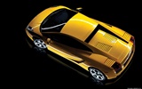 Lamborghini Gallardo - 2003 蘭博基尼 #5