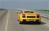 Lamborghini Gallardo - 2003 蘭博基尼 #32