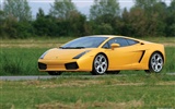 Lamborghini Gallardo - 2003 兰博基尼38