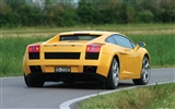 Lamborghini Gallardo - 2003 蘭博基尼 #42