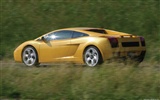 Lamborghini Gallardo - 2003 兰博基尼48