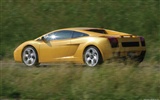 Lamborghini Gallardo - 2003 HD tapetu #48