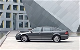 Volkswagen Phaeton W12 long wheelbase - 2010 大众10