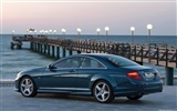 Mercedes-Benz CL500 4MATIC - 2010 奔驰17