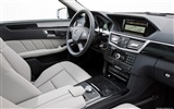 Mercedes-Benz Clase E Long Version - 2010 fondos de escritorio de alta definición #13
