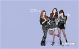 Girls Generation Wallpaper (7) #4