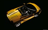 Lamborghini Gallardo Spyder - 2005 兰博基尼5