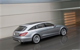 Mercedes-Benz Concept Shooting Break - 2010 奔馳 #3