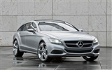 Mercedes-Benz Concept disparo Quiebre - 2010 fondos de escritorio de alta definición #5