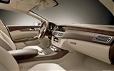 Mercedes-Benz Concept Shooting Break - 2010 奔馳 #22