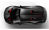 Special edition of concept cars wallpaper (17) #17