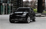 Porsche Cayenne TechArt Individualisation - 2010 fonds d'écran HD