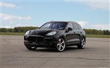 TechArt Porsche Cayenne Individualization - 2010 保時捷 #7