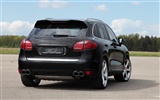 TechArt Porsche Cayenne Individualizace - 2010 HD tapetu #10