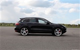 TechArt Porsche Cayenne Individualization - 2010 保時捷 #11