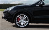 TechArt Porsche Cayenne Individualizace - 2010 HD tapetu #12