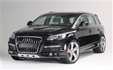 Hofele Audi Q7 HD tapetu