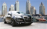 Hofele Audi Q7 奥迪2