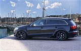 Hofele Audi Q7 fond d'écran HD #3