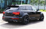 Hofele Audi Q7 奧迪 #5