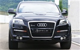 Hofele Audi Q7 奧迪 #7
