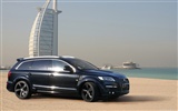 Hofele Audi Q7 HD tapetu #9