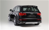 Hofele Audi Q7 奧迪 #10