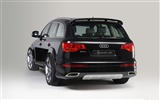 Hofele Audi Q7 HD Wallpaper #10