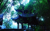 Chengdu Impression Tapete (2) #14