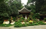 Chengdu Impression Tapete (3) #17