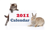 Jahr des Hasen Kalender 2011 Wallpaper (1) #13