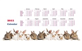 Jahr des Hasen Kalender 2011 Wallpaper (1) #15