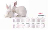Year of the Rabbit 2011 calendar wallpaper (1) #17