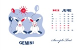 Année du papier peint Rabbit calendrier 2011 (2) #7