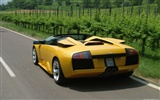 Lamborghini Murcielago Roadster - 2004 fonds d'écran HD #8