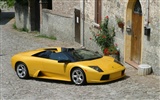 Lamborghini Murcielago Roadster - 2004 兰博基尼14